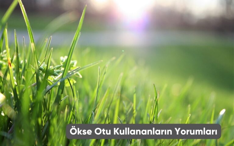 Ökse Otu Kullananların Yorumları